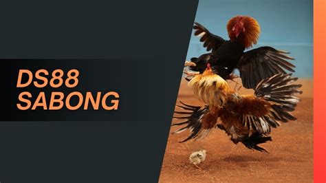 ds88 cockfight|NEW MEGACOCKFIGHT DIAMOND SABONG CUP .